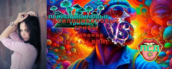 круглые Ладушкин